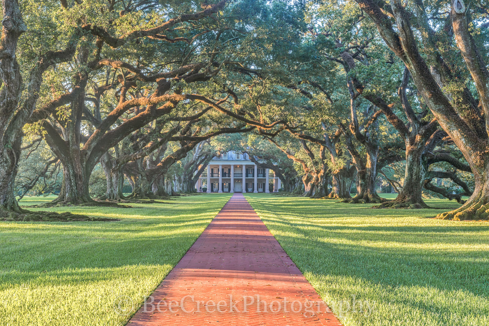 Louisiana, National Historic Landmark, Oak Alley, Sunrise, big house, canopy, landscape, landscapes, mansion, Mississippi, oak trees, plantation, sidewalk, slaves, sugar cane
