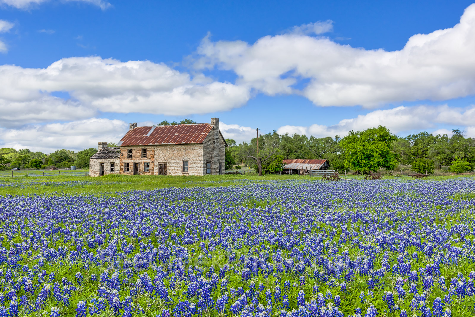 bluebonnets, stone house, farm house, texas hill country, blue sky, white clouds, day,