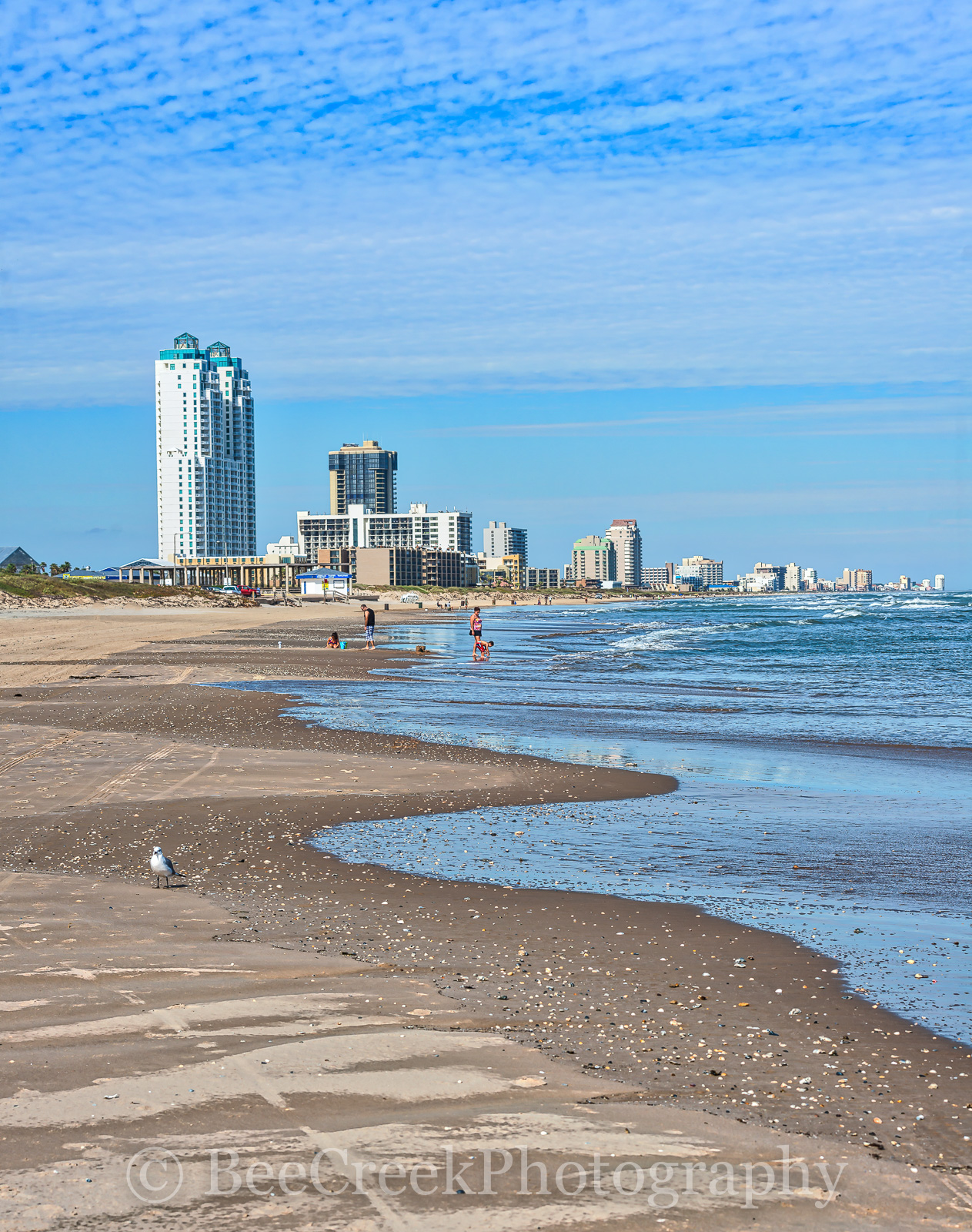 South Padre Beach Vertical Bee Creek Photo Commercial And Fine South Padre Island Texas Beach Coastal Dunes Hotels Landscape