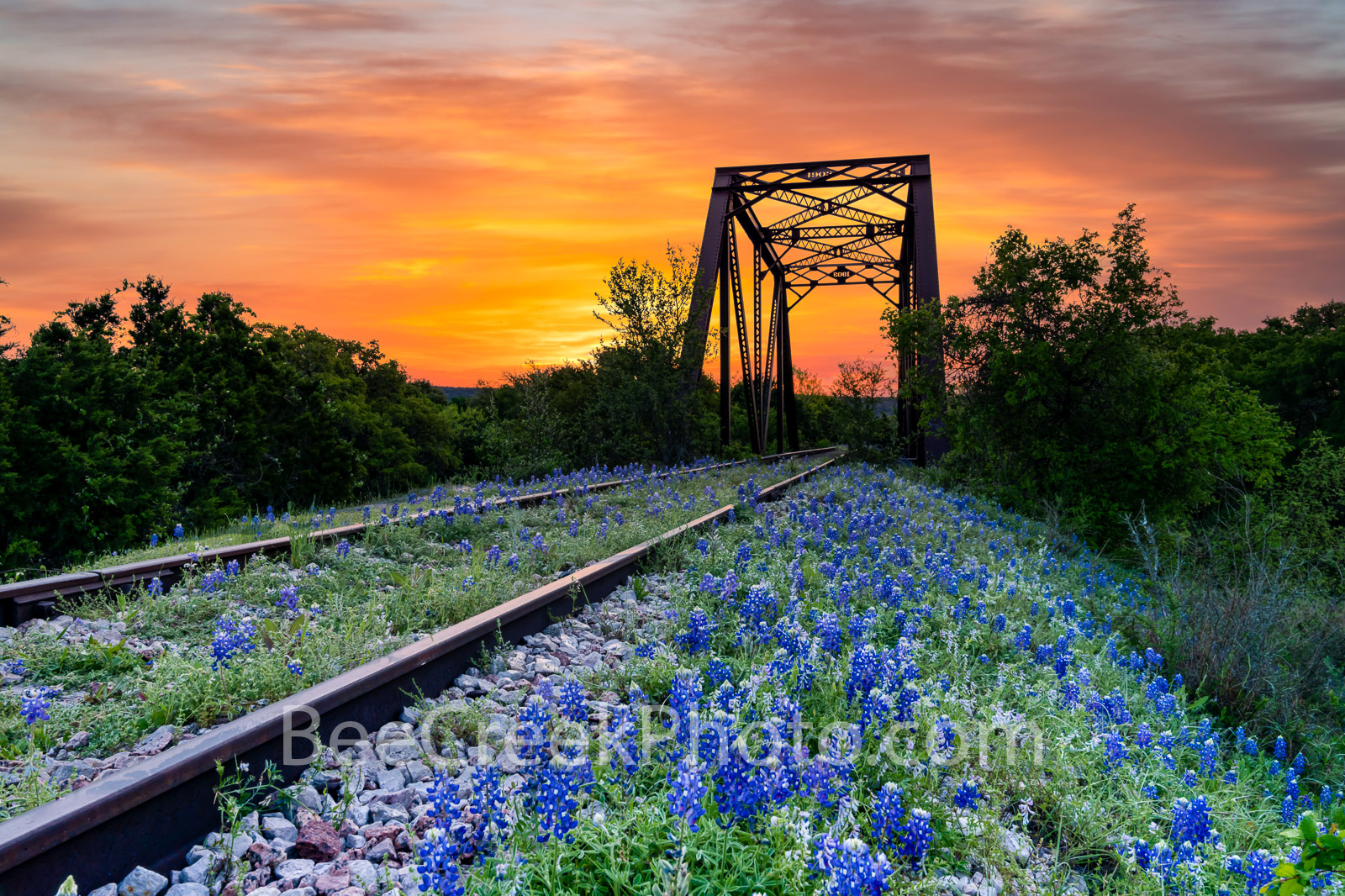 bluebonnet, texas bluebonnets, railroad tracks, tressel, sunrise, texas hill country, bluebonnets, orange sky, hill country, train tracks, sunset, west tex, bluebonnet at railroad track