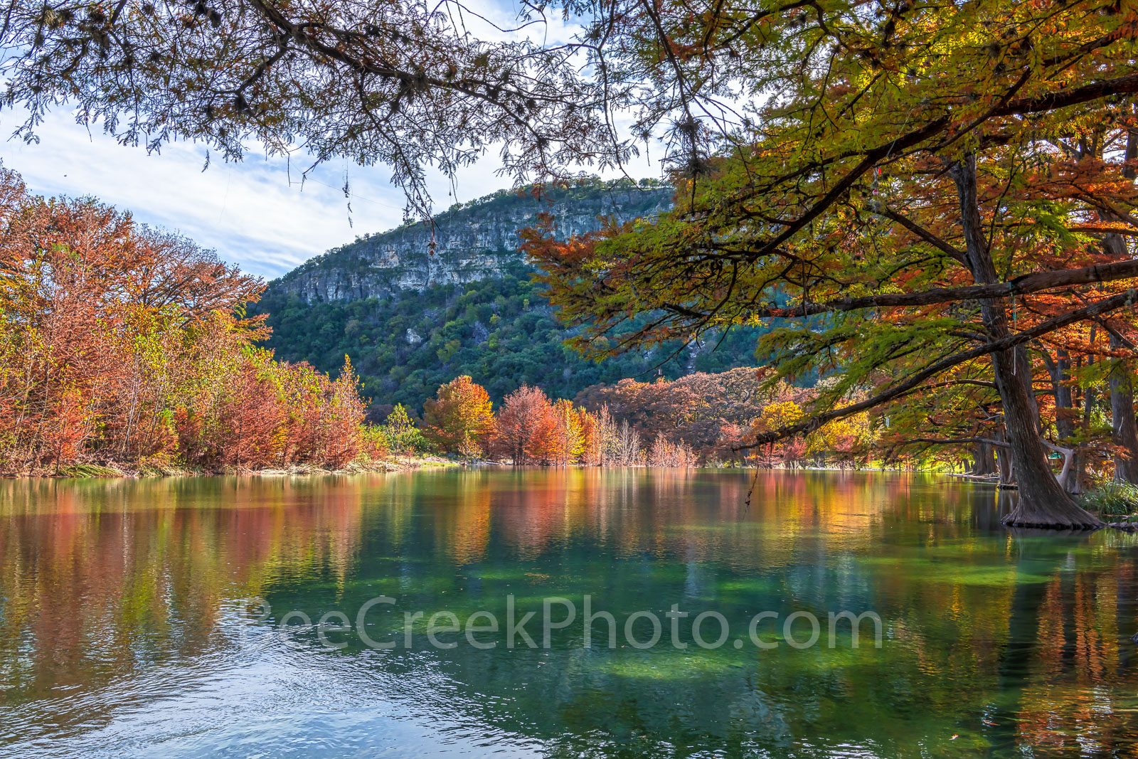 Fall at Garner State Park - Texas Landscape Fall Prints and Canvas - The long branches of the bald cypress trees stretch out...