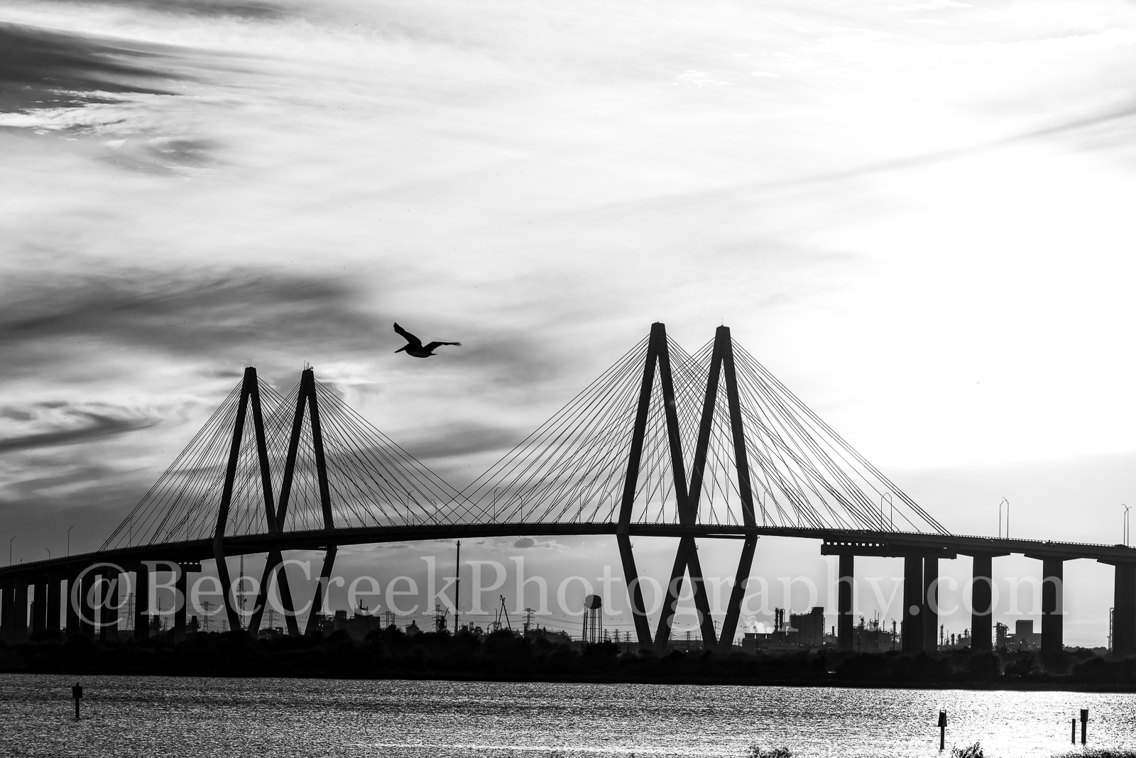 Fred Hartman Bridge BW -  We like this catch of this pelican as it flew in front of the Fred Hartman Bridge in Baytown along...